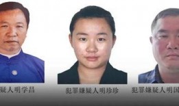 缅北最新爆料消息今天视频,揭秘神秘势力动态