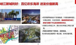 上海新闻特大爆料,揭秘城市背后惊人真相